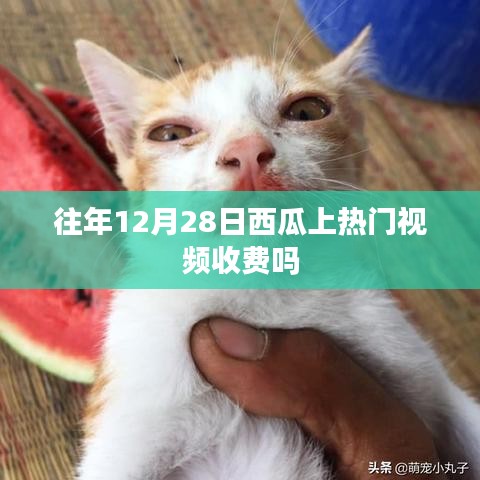 西瓜热门视频往年收费情况分析，免费还是收费？