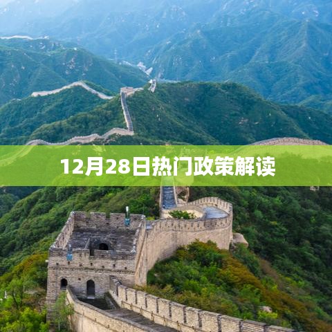 合作伙伴 第228页