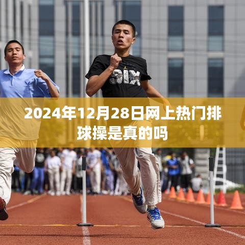 关于排球操的热门信息及真实性探讨
