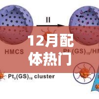 12月配体热点深度解读