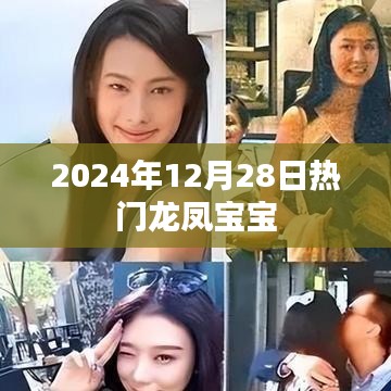 热门龙凤宝宝，2024年12月28日盛事庆典