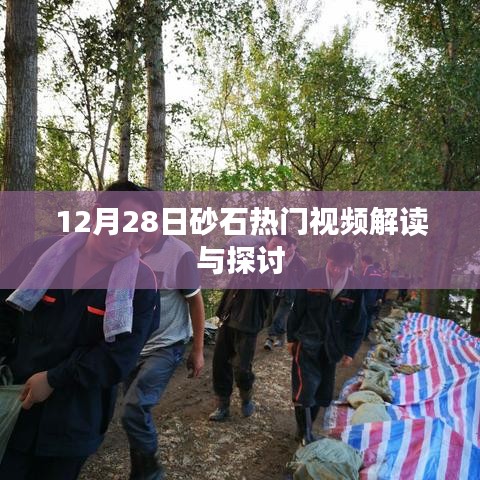 砂石热门视频解读与探讨，深度分析砂石行业趋势