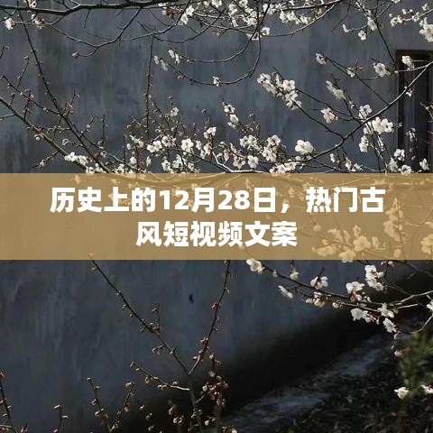 热门古风短视频文案背后的历史秘密，揭秘十二月二十八日历史时刻