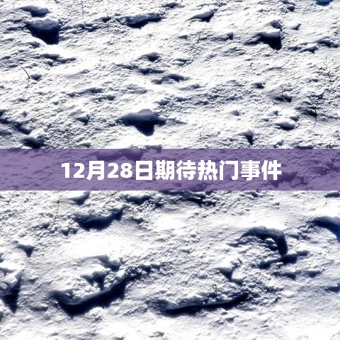 12月28日热点事件大揭秘！
