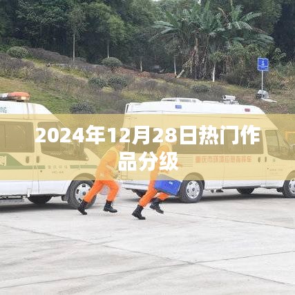 2024年热门作品分级概览