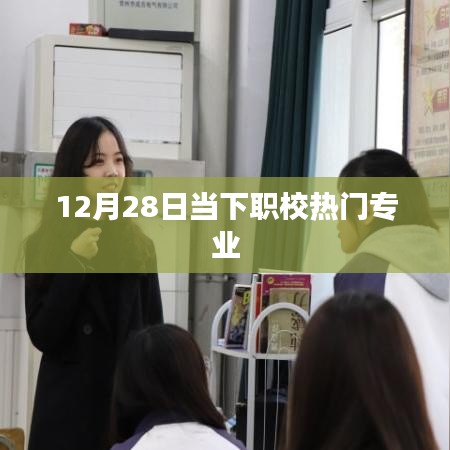 当下职校热门专业解析，12月28日最新趋势