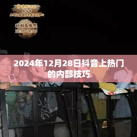 抖音热门内部技巧揭秘，如何快速吸引流量于2024年12月28日