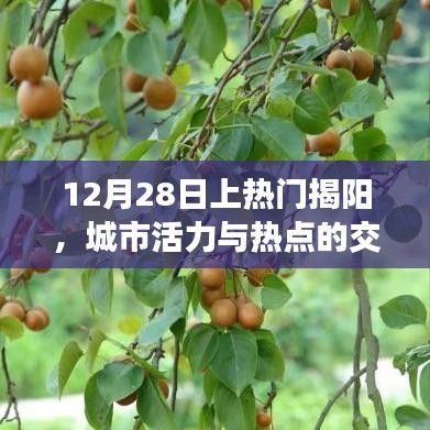 成功案例 第218页