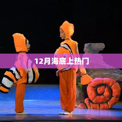 合作伙伴 第222页