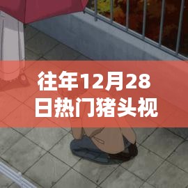 往年12月28日热门猪头视频回顾与解析