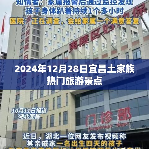 合作伙伴 第221页