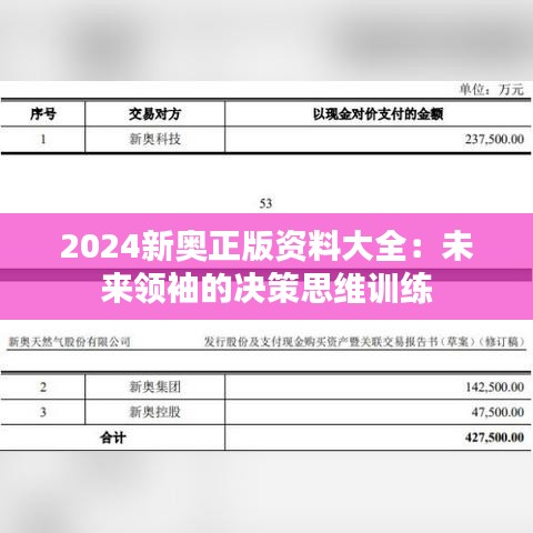 2024新奥正版资料大全：未来领袖的决策思维训练