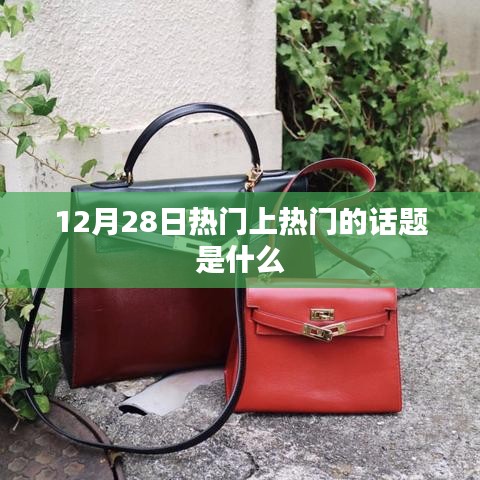 12月28日热门话题大盘点