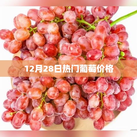 葡萄价格走势分析，最新热门葡萄报价（12月28日）