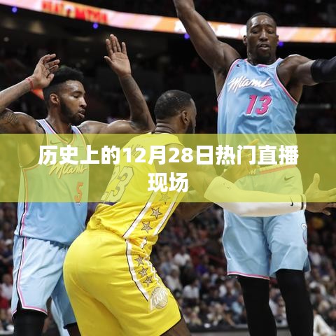 历史上的十二月二十八日直播盛典回顾
