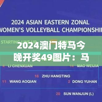 2024澳门特马今晚开奖49图片：马匹风采展彰显澳门特色