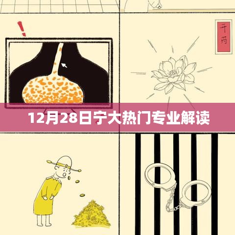 宁大热门专业解读，探寻专业魅力，洞悉未来趋势
