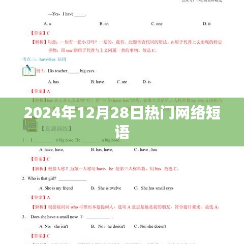 2024年12月28日流行网络短语盘点