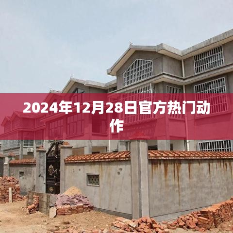2024年12月28日动作大片盛宴