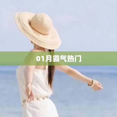 01月霸气热门事件回顾