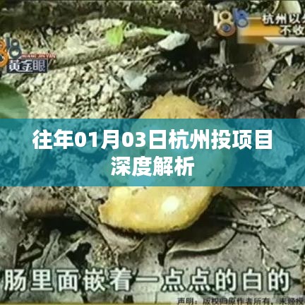 『深度解析，杭州投资项目一览』