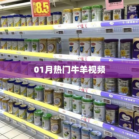 热门牛羊视频大盘点