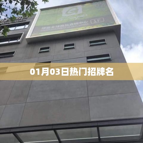 热门招牌名大揭秘，最新精选榜单出炉！