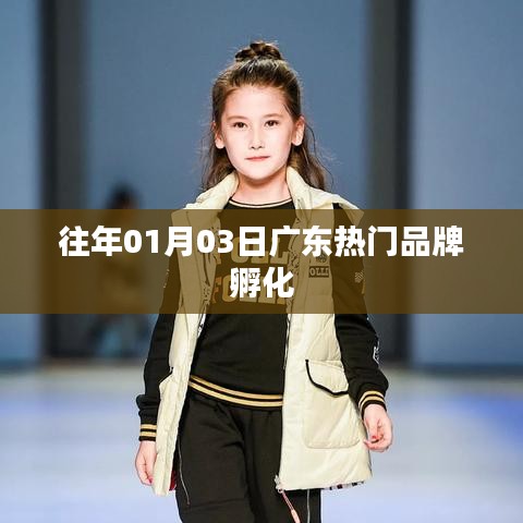 广东品牌孵化盛事，历年1月3日瞩目盘点