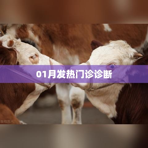01月发热门诊诊断详解