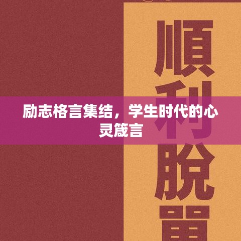 合作伙伴 第183页
