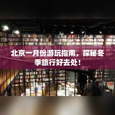 小鸟依人 第2页