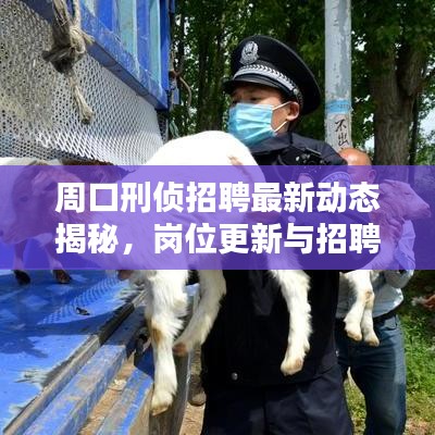 周口刑侦招聘最新动态揭秘，岗位更新与招聘趋势分析