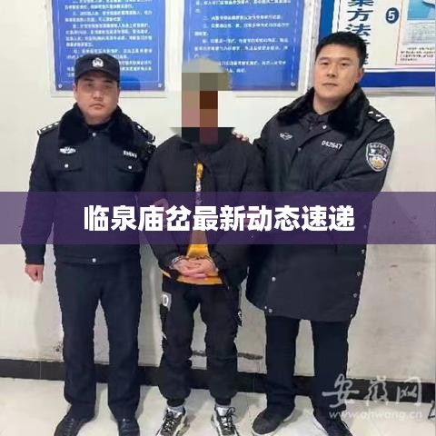 临泉庙岔最新动态速递