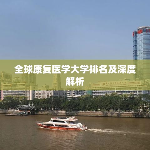 全球康复医学大学排名及深度解析