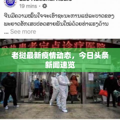 老挝最新疫情动态，今日头条新闻速览