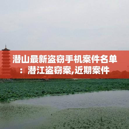 潜山最新盗窃手机案件名单：潜江盗窃案,近期案件 