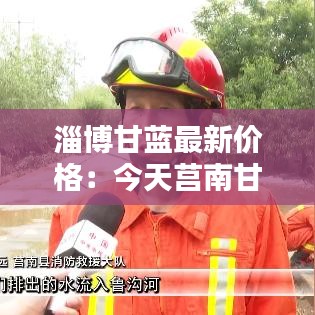 淄博甘蓝最新价格：今天莒南甘蓝菜价 