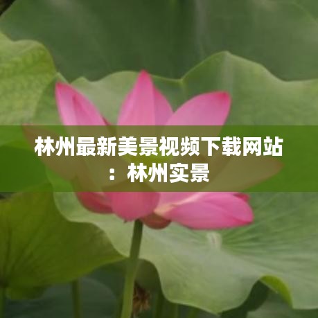 林州最新美景视频下载网站：林州实景 