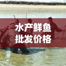 水产鲜鱼批发价格查询最新：水产网水产批发价格 