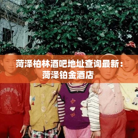 菏泽柏林酒吧地址查询最新：菏泽铂金酒店 