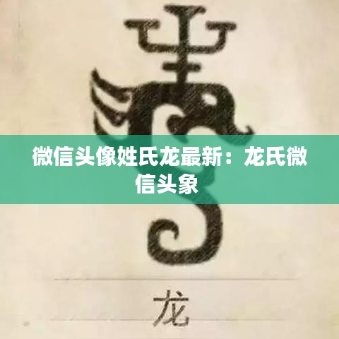 微信头像姓氏龙最新：龙氏微信头象 