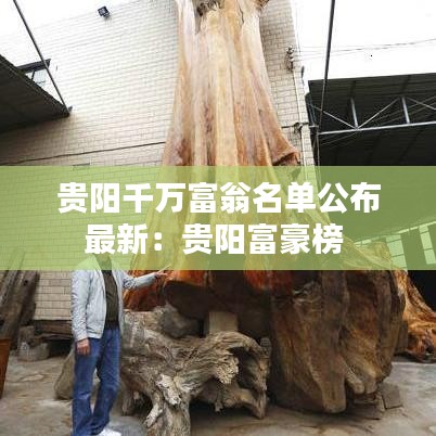 贵阳千万富翁名单公布最新：贵阳富豪榜 