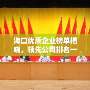 海口优质企业榜单揭晓，领先公司排名一览