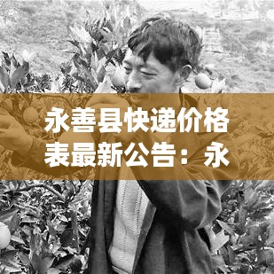 永善县快递价格表最新公告：永善货运部电话多少 