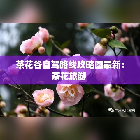 茶花谷自驾路线攻略图最新：茶花旅游 