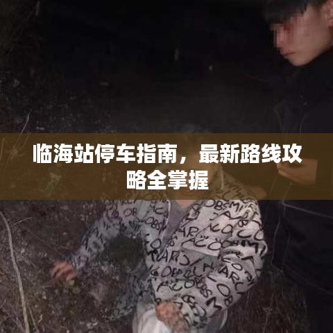 临海站停车指南，最新路线攻略全掌握