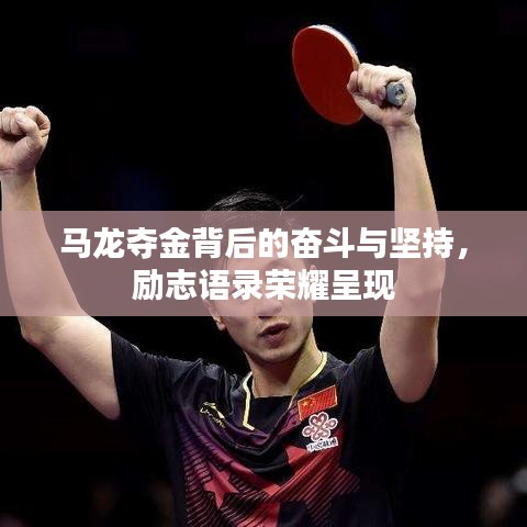 马龙夺金背后的奋斗与坚持，励志语录荣耀呈现