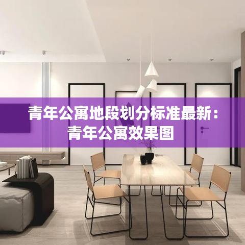 青年公寓地段划分标准最新：青年公寓效果图 
