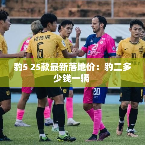 豹5 25款最新落地价：豹二多少钱一辆 