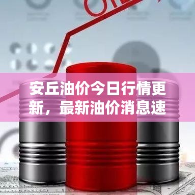 安丘油价今日行情更新，最新油价消息速递